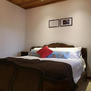 Habitación Estándar con Cama King